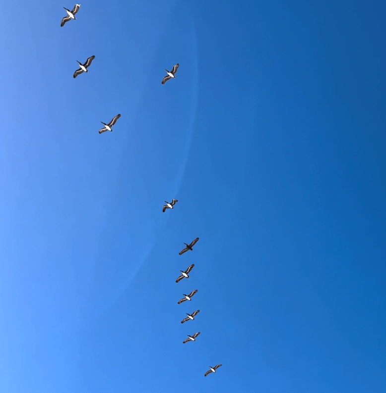La mitad del&nbsp;cielo